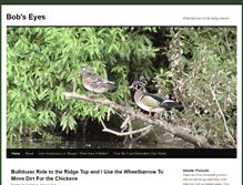 Tablet Screenshot of bobseyes.net